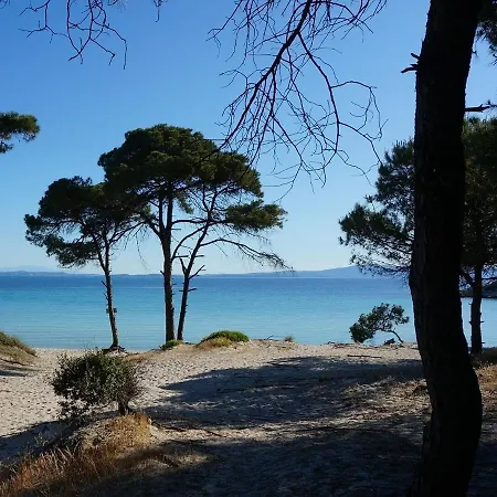 Ancient Greek Villa Schinias
